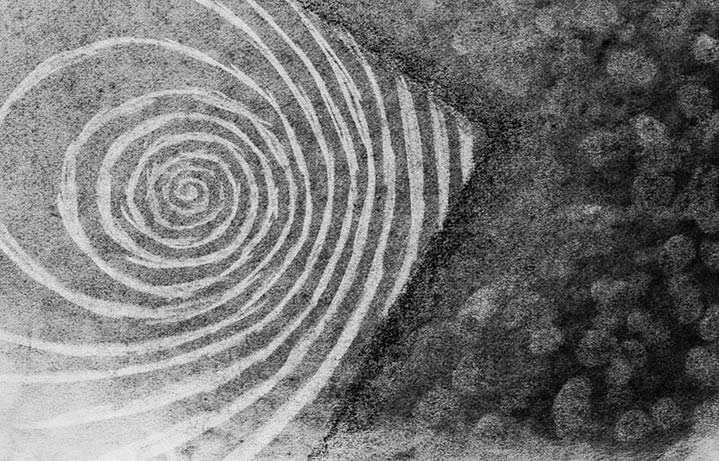 Drawing by Krystian 'smntfl' Karpiuk