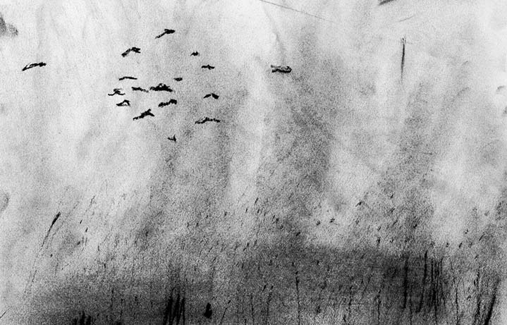 Drawing by Krystian 'smntfl' Karpiuk